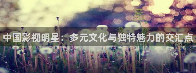 美景之屋神马电影