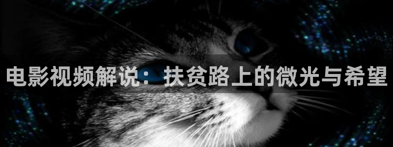 神马影院午夜在线观看