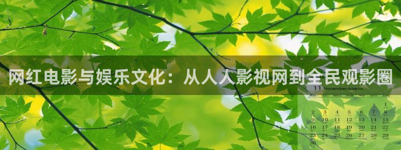 论理在线观看神马影院