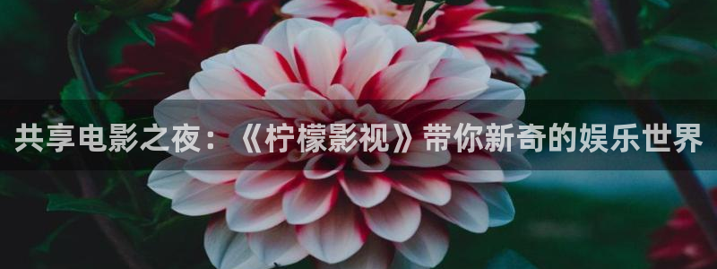 神马中文不卡电影