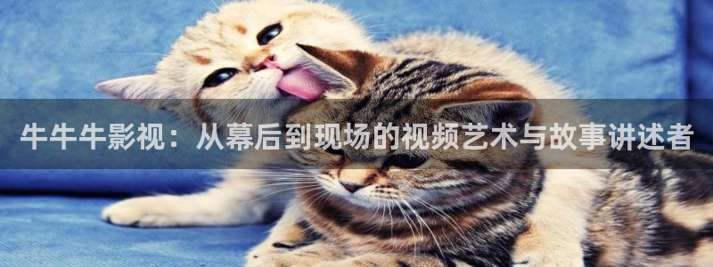 我不卡神马电影院电影