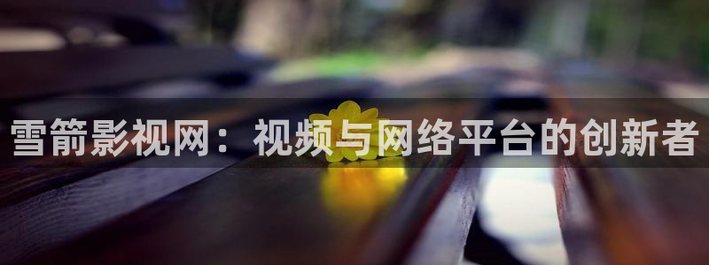 神马网秋霞