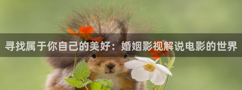 午夜伦理神马电影：寻找属于你自己的美好：婚姻影视解说电影的世界