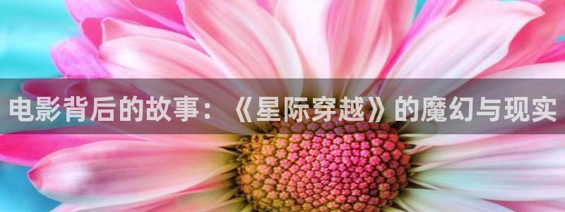 野花韩国高清电影神马：电影背后的故事：《星际穿越》的魔幻与现实