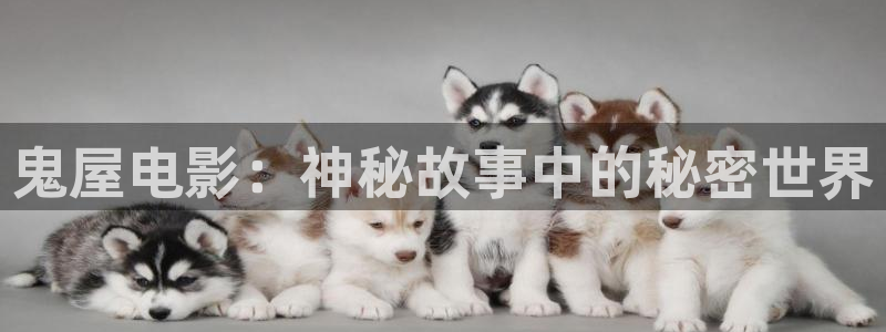 原来神马电影网站：鬼屋电影：神秘故事中的秘密世界