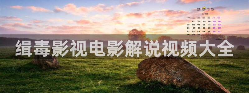 免费神马电影院：缉毒影视电影解说视频大全