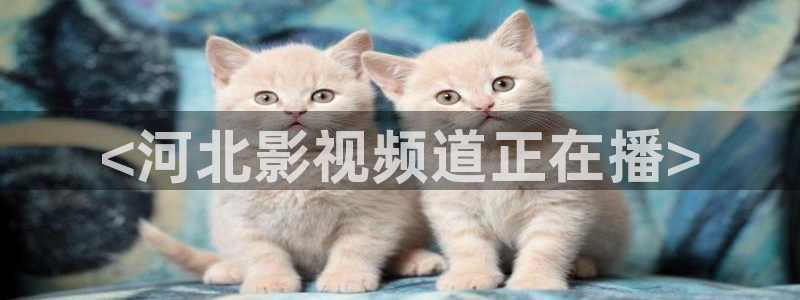 神马电影网达达兔不卡：<河北影视频道正在播>
