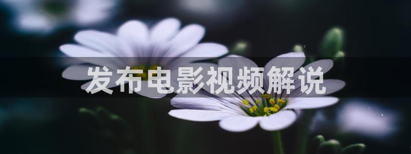 神马电影ok