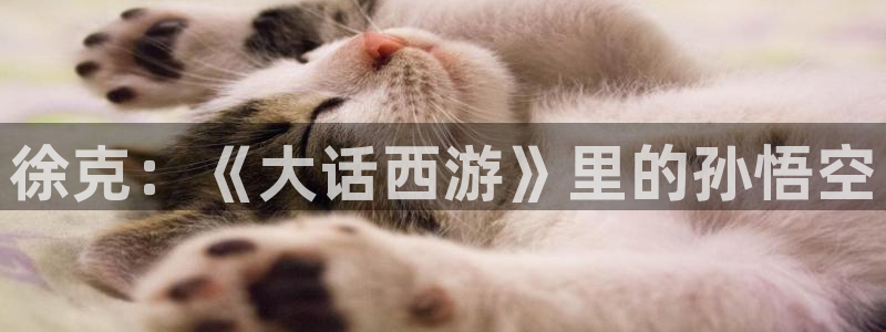 神马影院妻子的情人