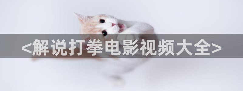 神马不卡影院韩国