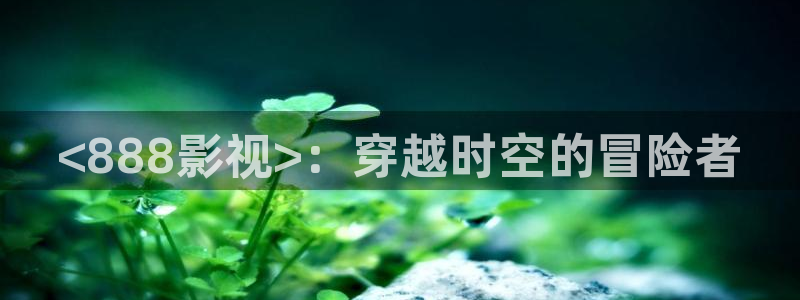 叫神马影视