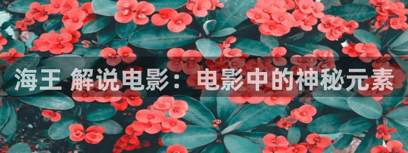 神马电影电影