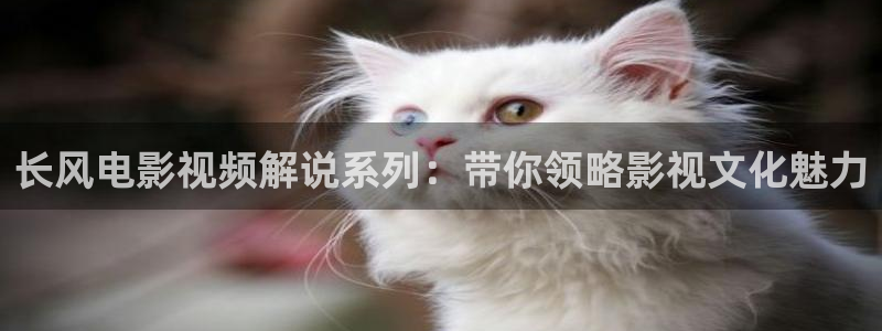 神马影院最新网址