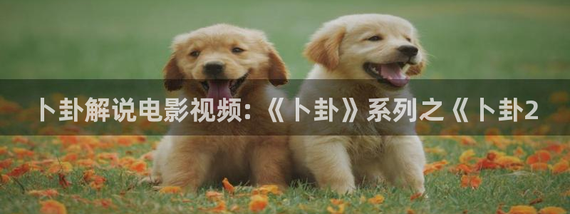 八戒八戒神马影院手机在线