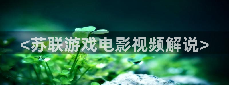 神马影院我不卡午夜激情