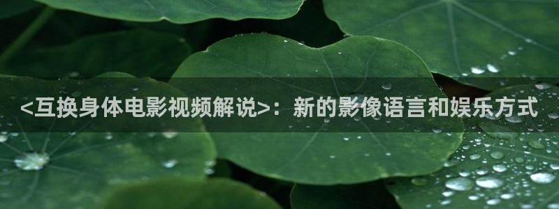 神马电影免费在线观看