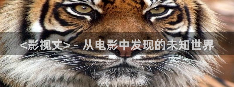 神马电影神马电影院
