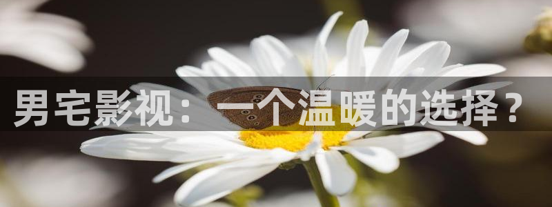 神马电影麻豆