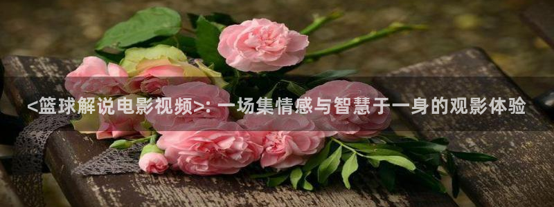 我不卡神马影院手机