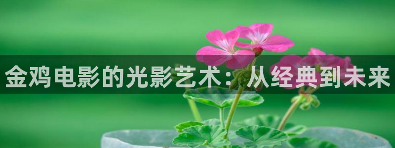 神马理伦影院