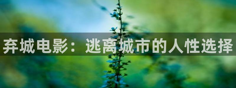 神马影院国外：弃城电影：逃离城市的人性选择