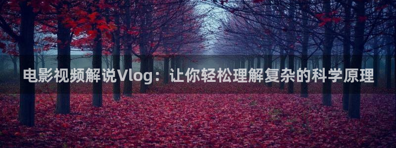 神马影院秋霞电影院