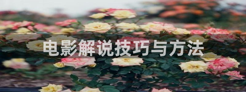 青苹果神马影院