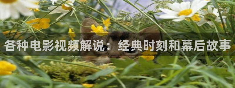 神马影院午夜伦理福利