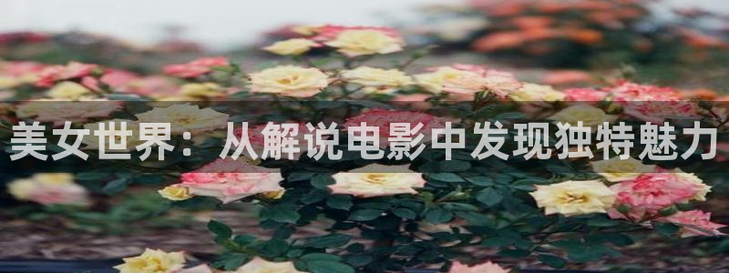 神马影视手机在线播放