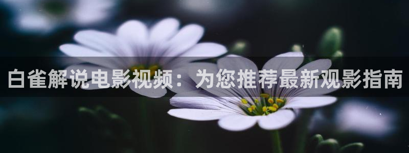 8090神马新视觉青苹果影院