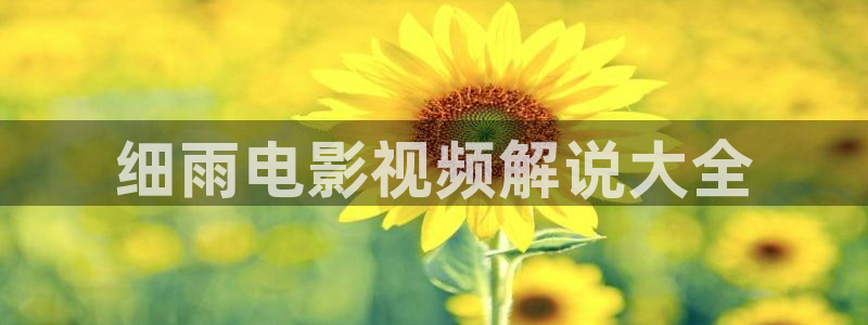 神马电影在线网
