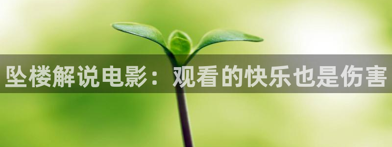 神马电影我不卡在线