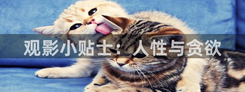 神马电影院在线观看星辰影院