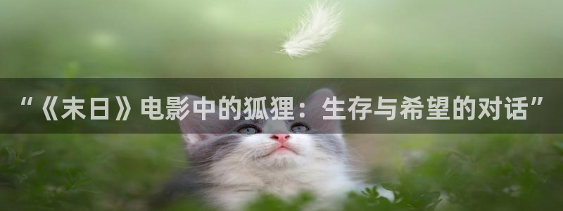 年轻姐姐神马电影