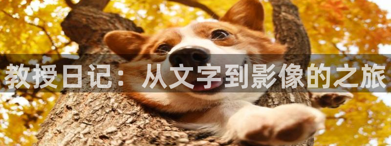 94sm神马影院