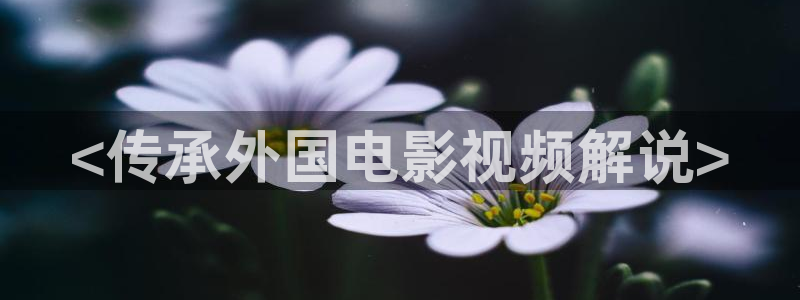 神马影院理论在线观看