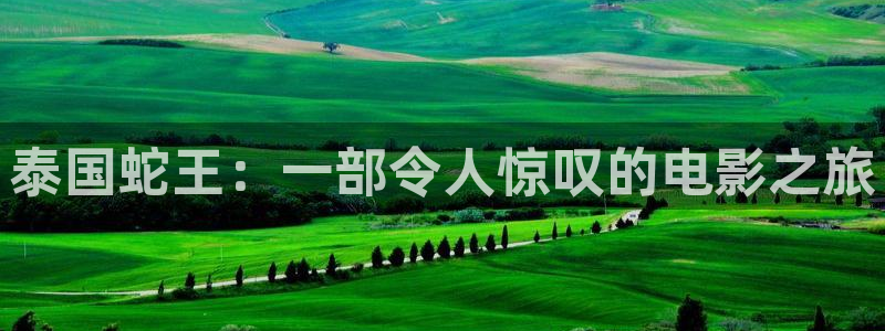 神马影院在线观看中文：泰国蛇王：一部令人惊叹的电影之旅