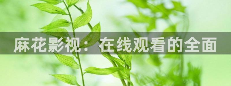 神马午夜羞羞av