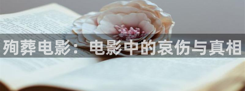 原来神马电影免费