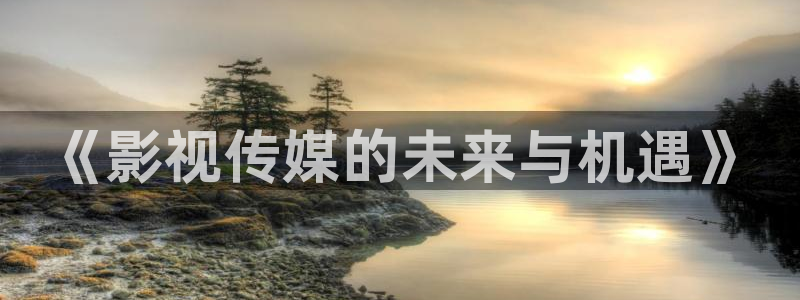 金瓶神马影院