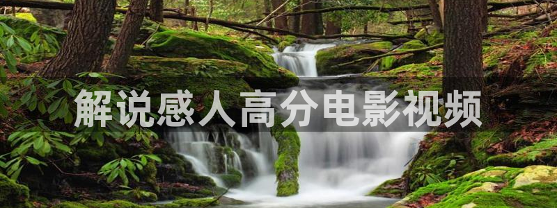 神马手机电影网午夜