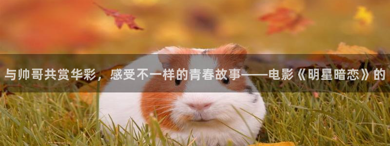 影院在线神马
