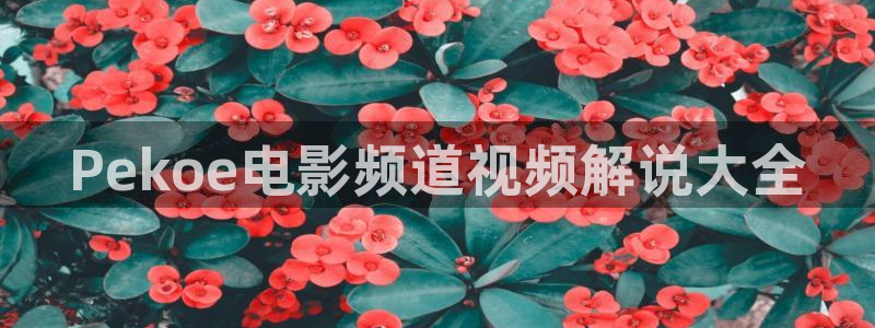 性迷宫神马影视